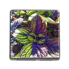 Dark Coleus Memory Card Reader (square 5 Slot) by Riverwoman