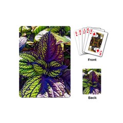 Dark Coleus Playing Cards Single Design (mini) by Riverwoman