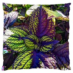 Dark Coleus Large Cushion Case (one Side) by Riverwoman