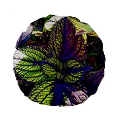 Dark Coleus Standard 15  Premium Round Cushions by Riverwoman