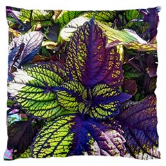 Dark Coleus Standard Flano Cushion Case (two Sides) by Riverwoman