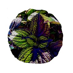 Dark Coleus Standard 15  Premium Flano Round Cushions by Riverwoman