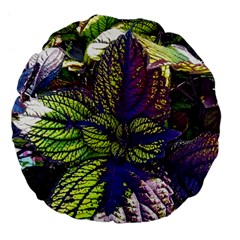 Dark Coleus Large 18  Premium Flano Round Cushions by Riverwoman