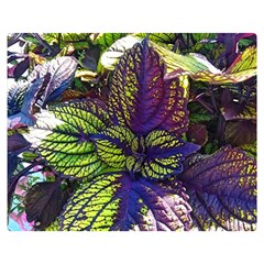 Dark Coleus Double Sided Flano Blanket (medium)  by Riverwoman