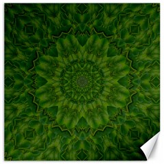 Fauna Nature Ornate Leaf Canvas 16  X 16  by pepitasart