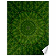 Fauna Nature Ornate Leaf Canvas 18  X 24  by pepitasart