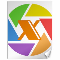 Xcoin Logo 200x200 Canvas 12  X 16  by Ipsum