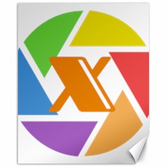 Xcoin Logo 200x200 Canvas 16  X 20  by Ipsum