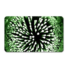 Bacteria Bacterial Species Imitation Magnet (rectangular) by HermanTelo