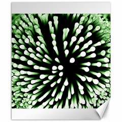 Bacteria Bacterial Species Imitation Canvas 8  X 10  by HermanTelo