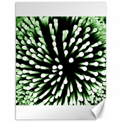 Bacteria Bacterial Species Imitation Canvas 12  X 16 