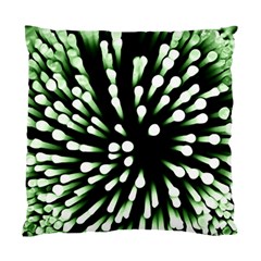 Bacteria Bacterial Species Imitation Standard Cushion Case (two Sides)