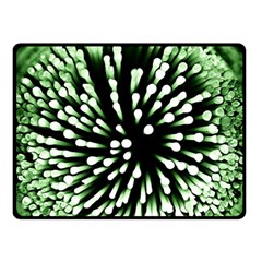 Bacteria Bacterial Species Imitation Double Sided Fleece Blanket (small) 