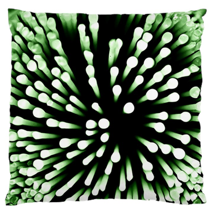 Bacteria Bacterial Species Imitation Large Flano Cushion Case (Two Sides)