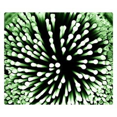 Bacteria Bacterial Species Imitation Double Sided Flano Blanket (small)  by HermanTelo