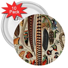 Feathers Birds Vintage Art 3  Buttons (10 Pack)  by Vaneshart