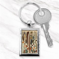 Feathers Birds Vintage Art Key Chain (rectangle) by Vaneshart