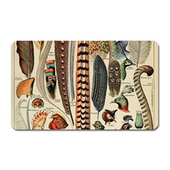 Feathers Birds Vintage Art Magnet (rectangular) by Vaneshart