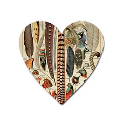 Feathers Birds Vintage Art Heart Magnet by Vaneshart