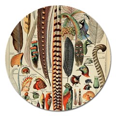 Feathers Birds Vintage Art Magnet 5  (round) by Vaneshart