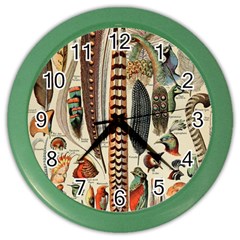 Feathers Birds Vintage Art Color Wall Clock by Vaneshart