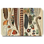 Feathers Birds Vintage Art Large Doormat  30 x20  Door Mat