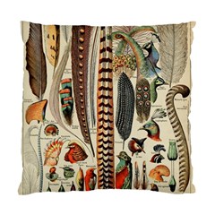 Feathers Birds Vintage Art Standard Cushion Case (one Side) by Vaneshart