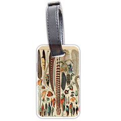 Feathers Birds Vintage Art Luggage Tag (two Sides) by Vaneshart