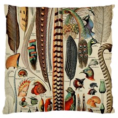 Feathers Birds Vintage Art Large Cushion Case (two Sides) by Vaneshart