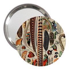 Feathers Birds Vintage Art 3  Handbag Mirrors by Vaneshart