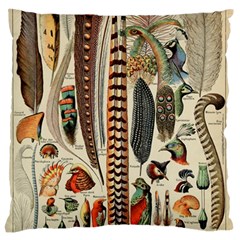 Feathers Birds Vintage Art Standard Flano Cushion Case (two Sides) by Vaneshart