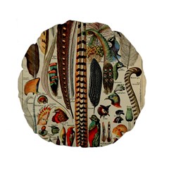 Feathers Birds Vintage Art Standard 15  Premium Flano Round Cushions by Vaneshart