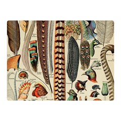 Feathers Birds Vintage Art Double Sided Flano Blanket (mini)  by Vaneshart