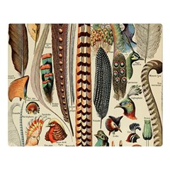 Feathers Birds Vintage Art Double Sided Flano Blanket (large)  by Vaneshart