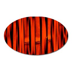 Orange Seamless Bamboo Background Oval Magnet by Vaneshart