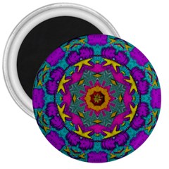 Fern  Mandala  In Strawberry Decorative Style 3  Magnets by pepitasart