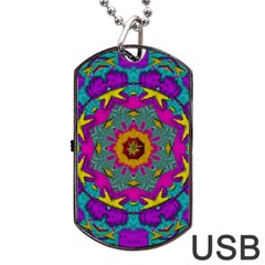 Fern  Mandala  In Strawberry Decorative Style Dog Tag Usb Flash (two Sides) by pepitasart