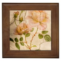 Rose Flower 2507641 1920 Framed Tile by vintage2030