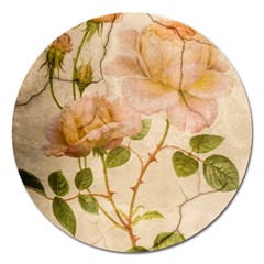 Rose Flower 2507641 1920 Magnet 5  (round) by vintage2030