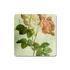 Peony 2507643 1920 Square Magnet by vintage2030