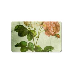 Peony 2507643 1920 Magnet (name Card) by vintage2030