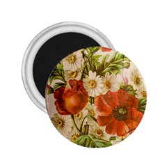 Poppy 2507631 960 720 2 25  Magnets by vintage2030