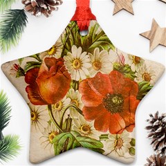 Poppy 2507631 960 720 Ornament (star) by vintage2030