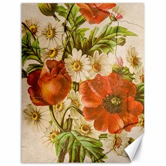 Poppy 2507631 960 720 Canvas 18  X 24  by vintage2030