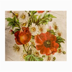 Poppy 2507631 960 720 Small Glasses Cloth (2 Sides) by vintage2030