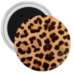 Leopard Skin 1078848 960 720 3  Magnets