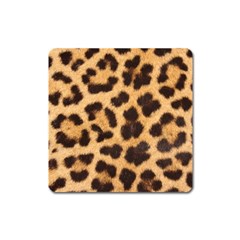 Leopard Skin 1078848 960 720 Square Magnet by vintage2030