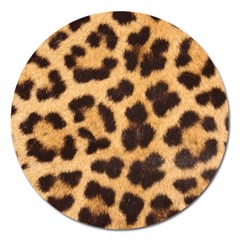 Leopard Skin 1078848 960 720 Magnet 5  (Round)