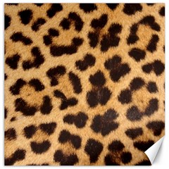 Leopard Skin 1078848 960 720 Canvas 12  x 12 