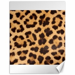 Leopard Skin 1078848 960 720 Canvas 12  x 16 